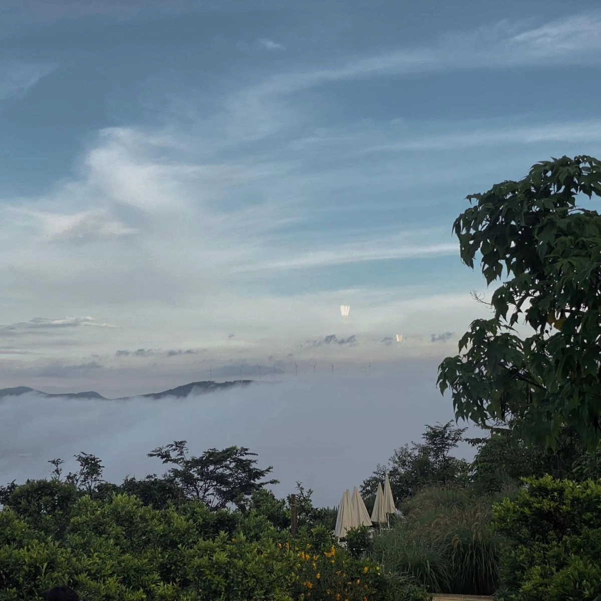 Quán cafe view săn mây