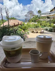Matcha Latte