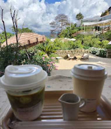 Matcha Latte